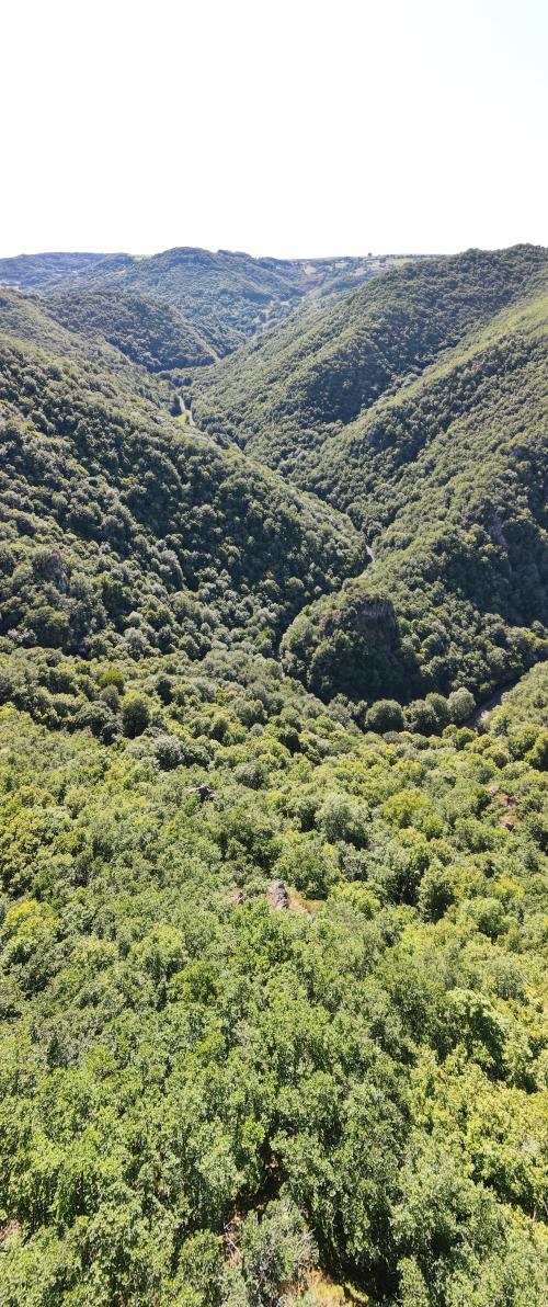 Gorges de Courgoul [02-07-2022](1012).jpg